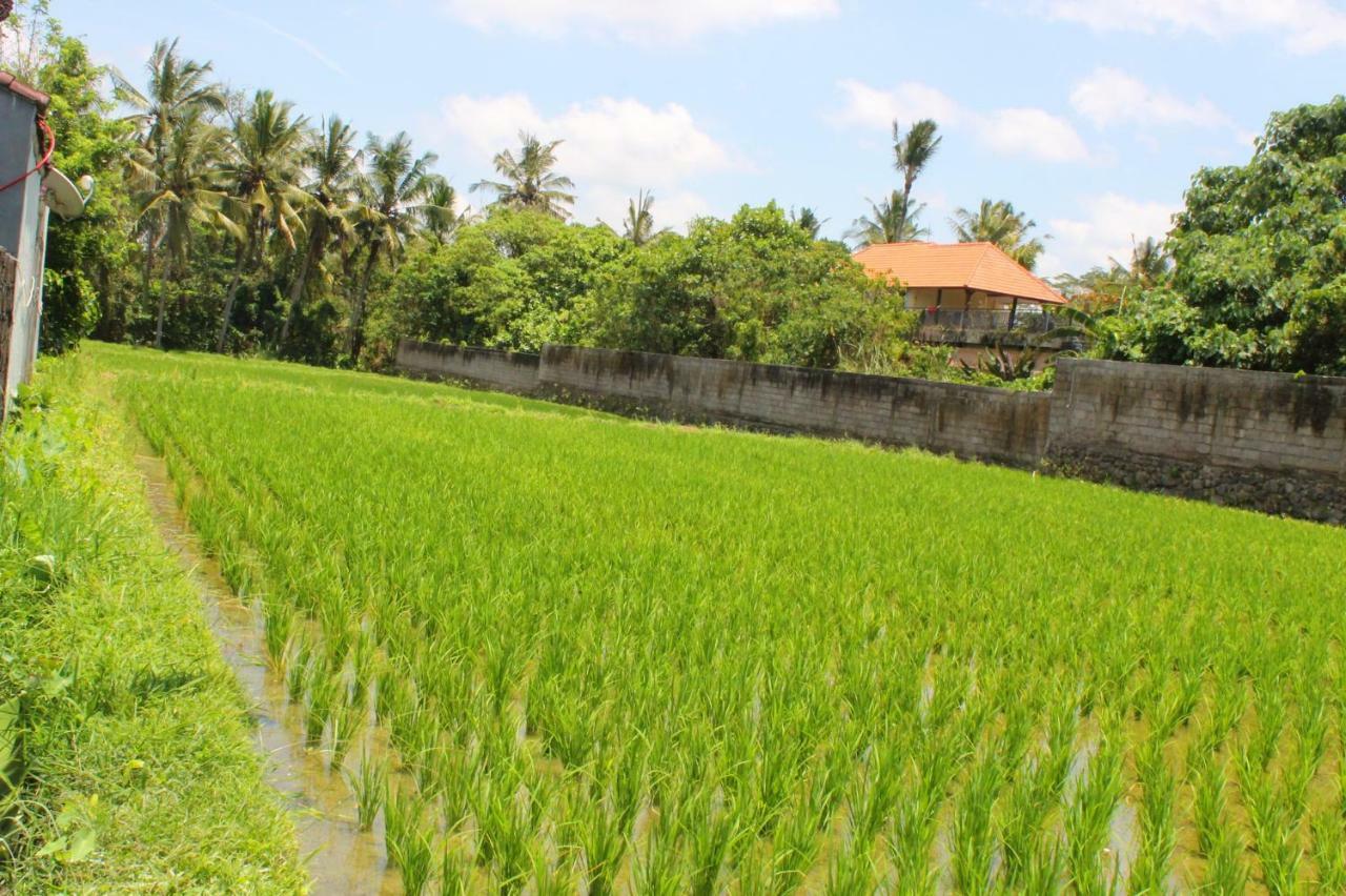 White Creative Villa Campuhan Ubud  Exterior photo