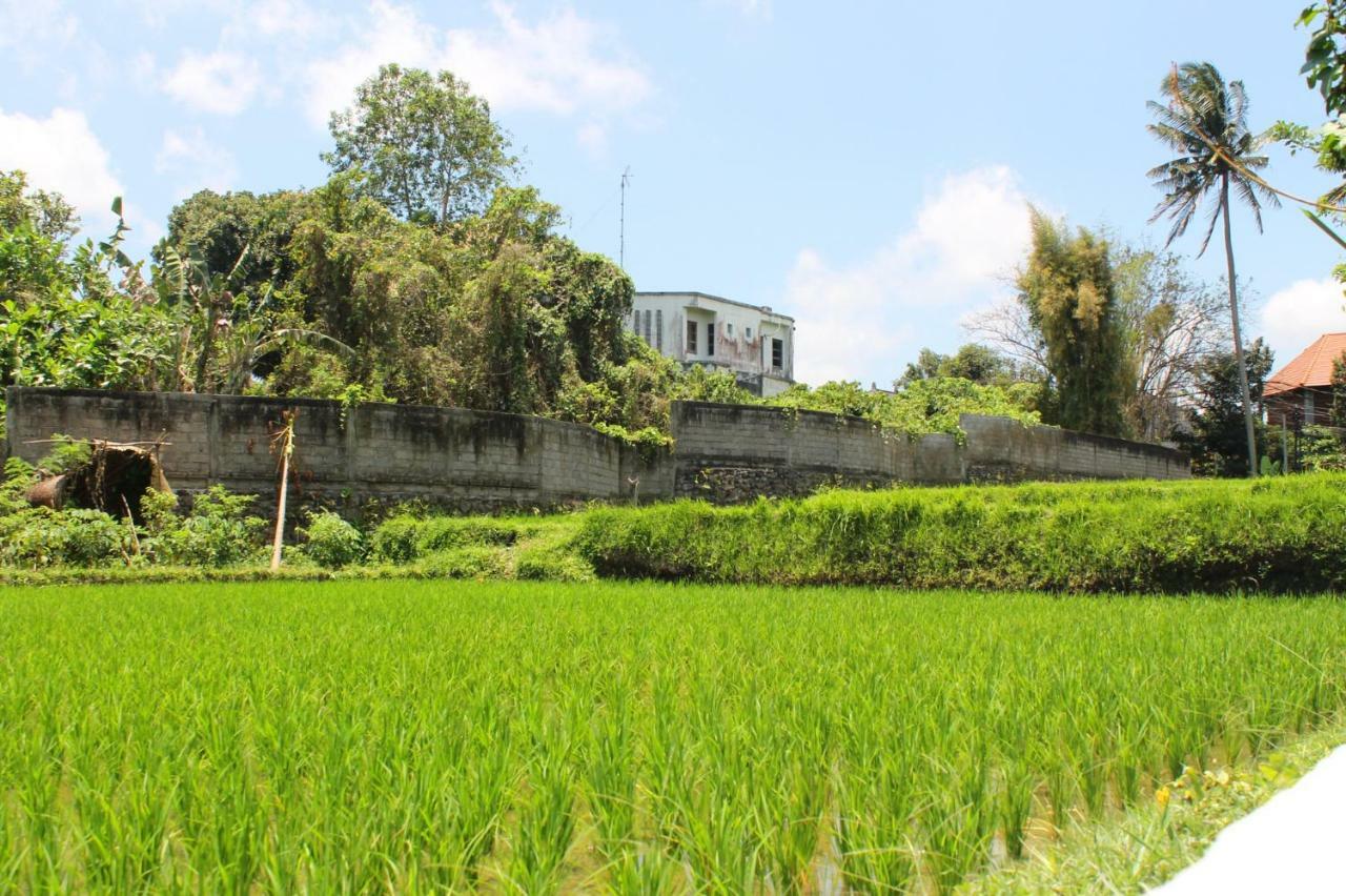 White Creative Villa Campuhan Ubud  Exterior photo